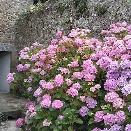 Bed & Breakfast Chez Catie Quintin