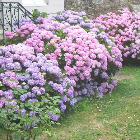 Chez Catie Bed & Breakfast 3*